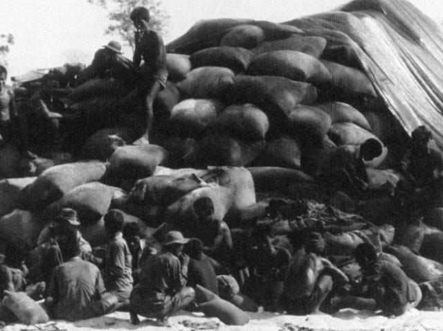 Captured North Vietnamese rice.